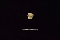 陶片藏品圖，第2張